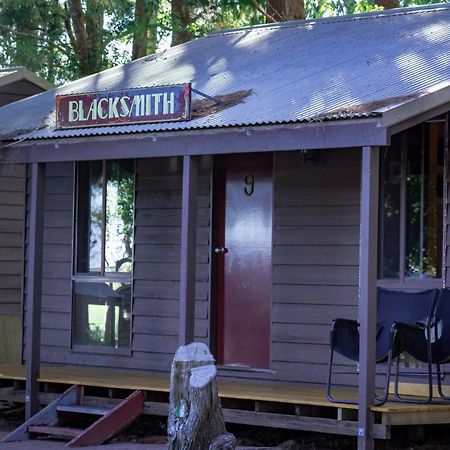 Dorrigo Mountain Holiday Park Buitenkant foto