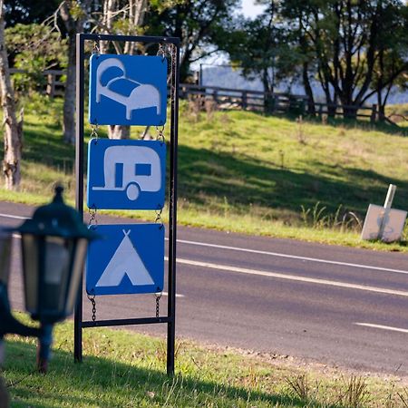 Dorrigo Mountain Holiday Park Buitenkant foto