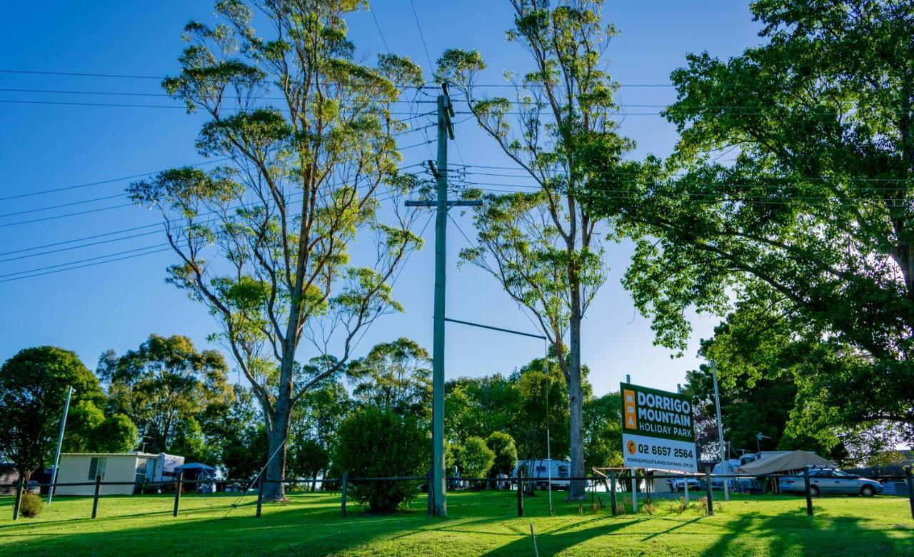 Dorrigo Mountain Holiday Park Buitenkant foto