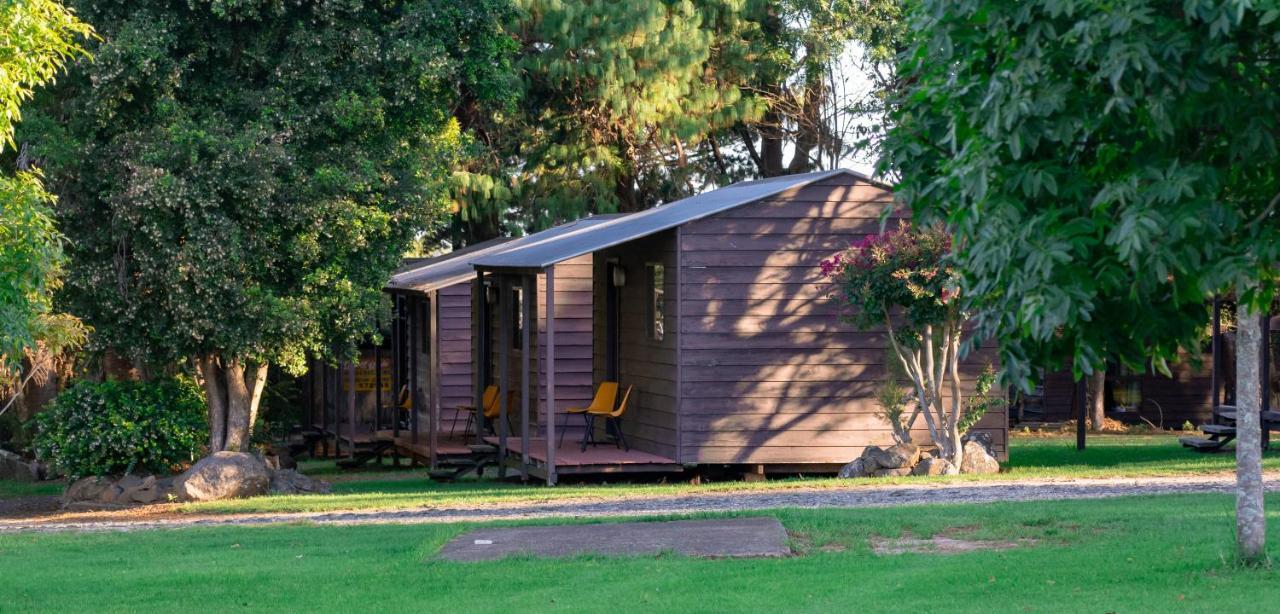Dorrigo Mountain Holiday Park Buitenkant foto
