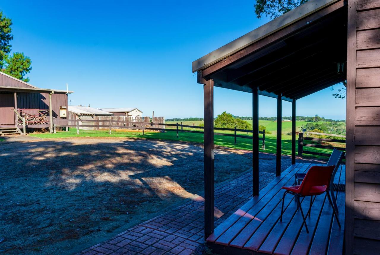 Dorrigo Mountain Holiday Park Buitenkant foto