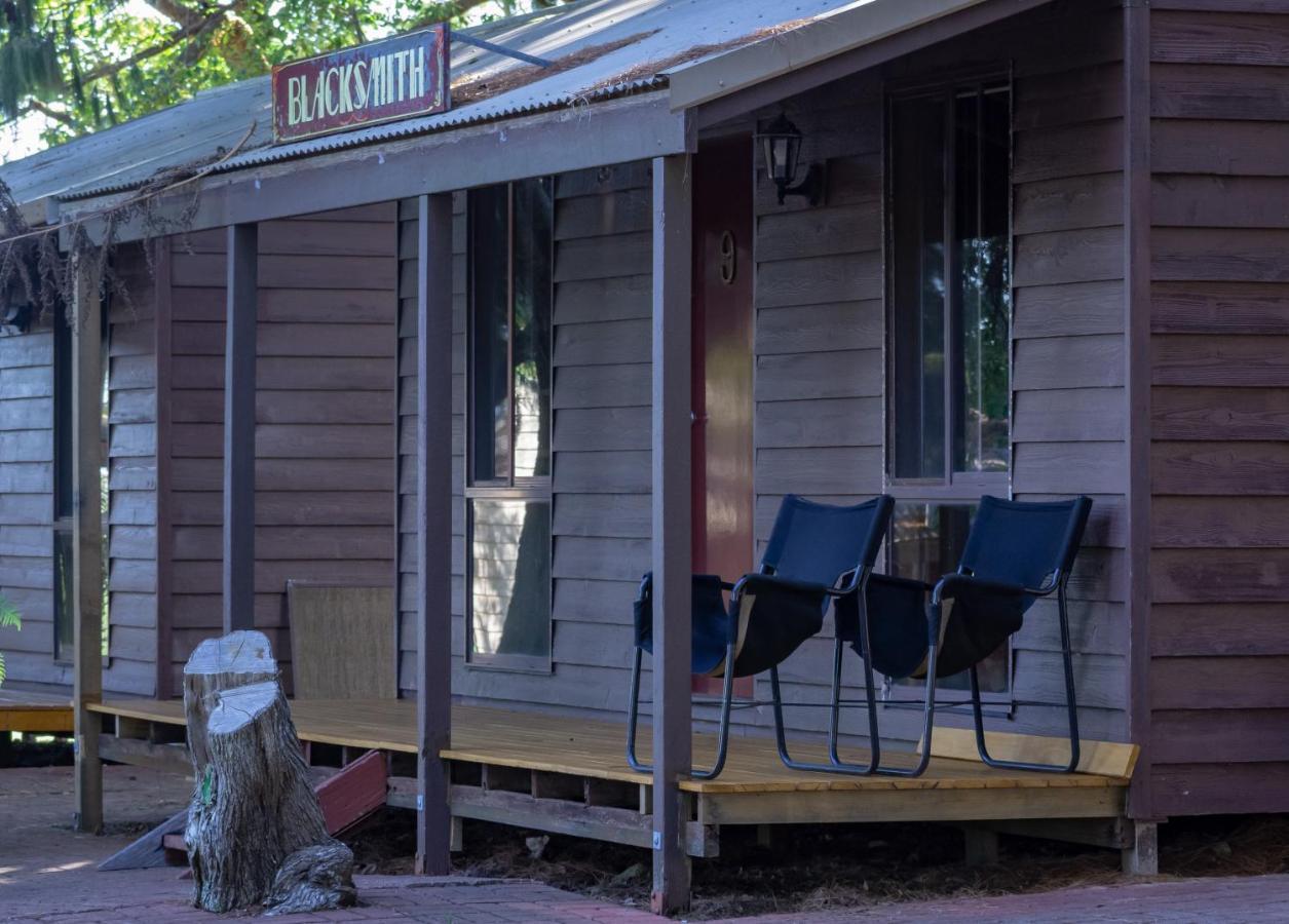 Dorrigo Mountain Holiday Park Buitenkant foto