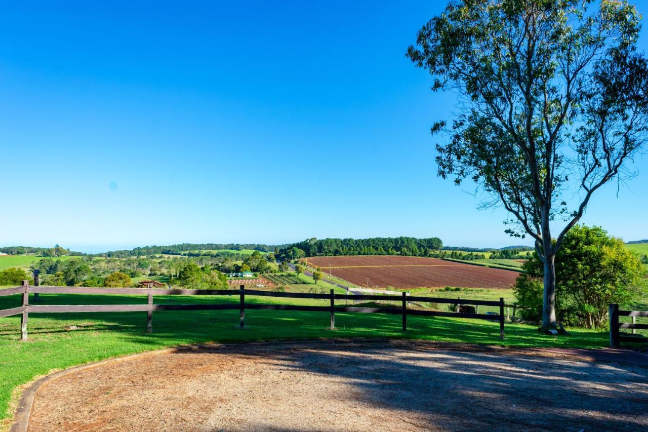 Dorrigo Mountain Holiday Park Buitenkant foto