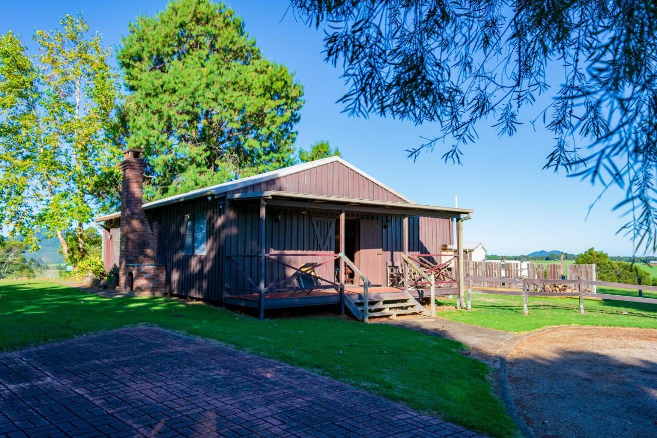 Dorrigo Mountain Holiday Park Buitenkant foto