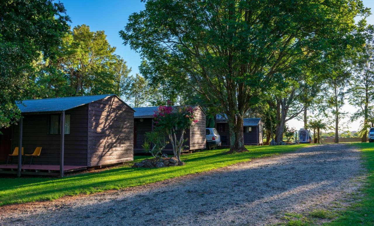 Dorrigo Mountain Holiday Park Buitenkant foto