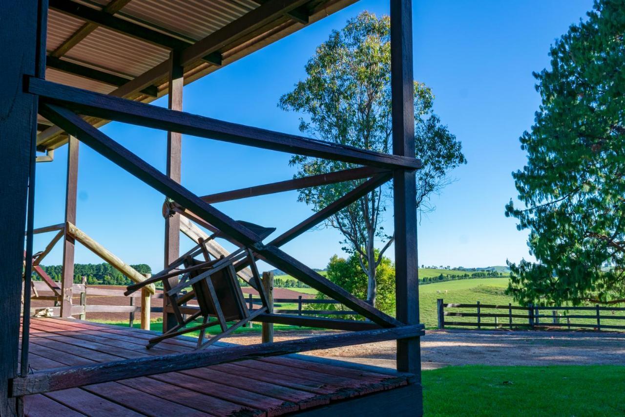 Dorrigo Mountain Holiday Park Buitenkant foto