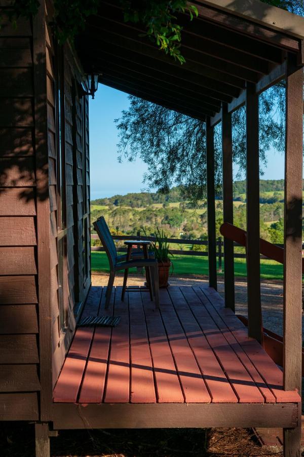 Dorrigo Mountain Holiday Park Buitenkant foto
