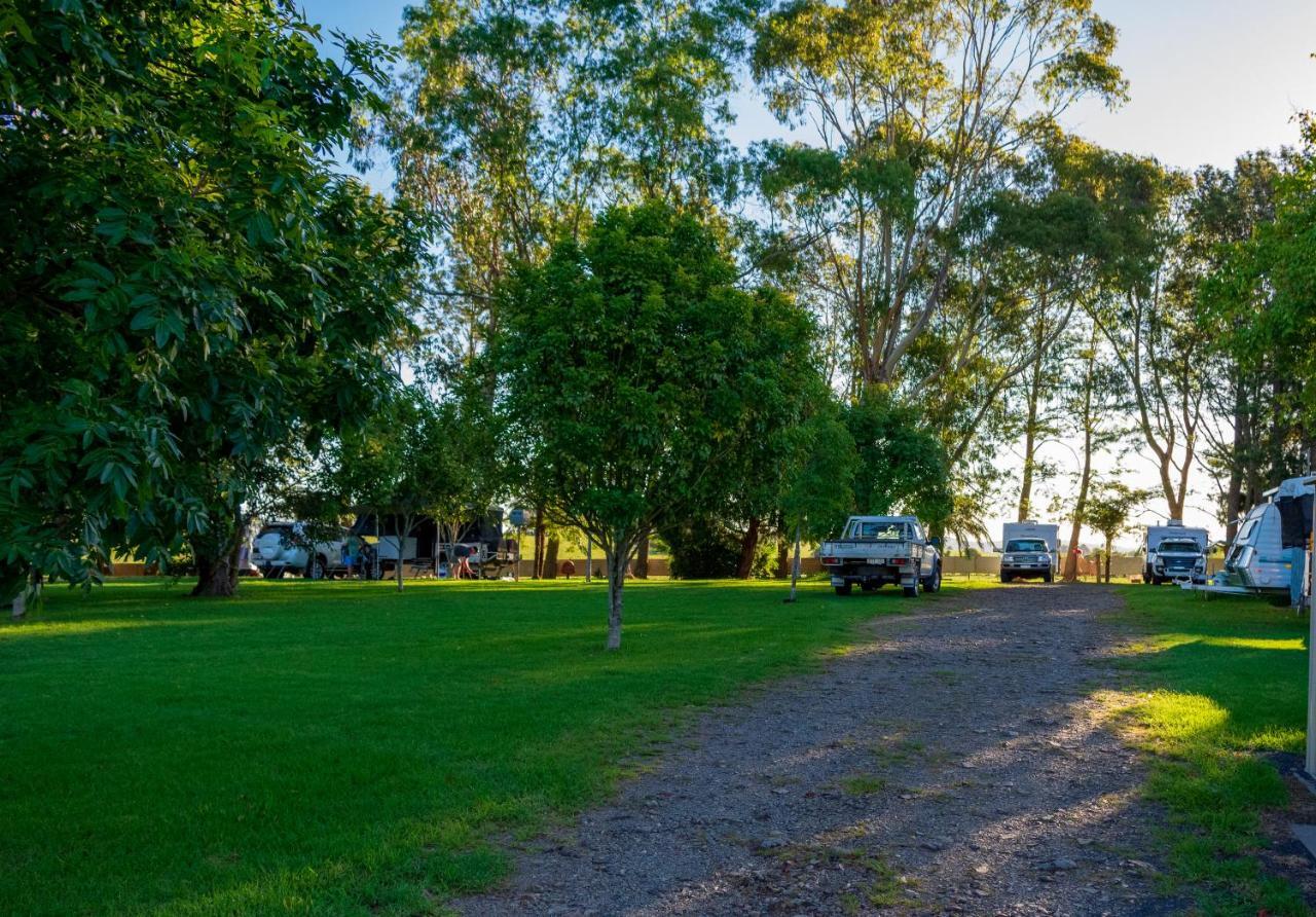 Dorrigo Mountain Holiday Park Buitenkant foto