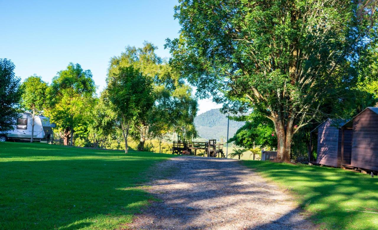 Dorrigo Mountain Holiday Park Buitenkant foto