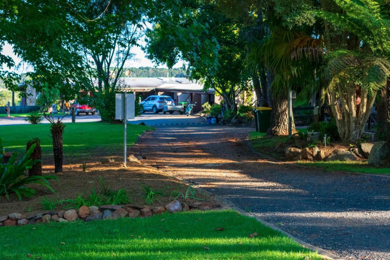 Dorrigo Mountain Holiday Park Buitenkant foto