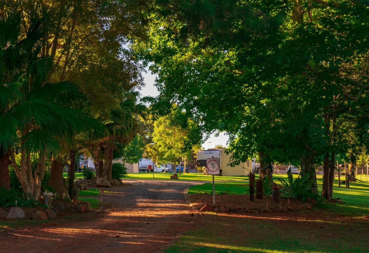 Dorrigo Mountain Holiday Park Buitenkant foto