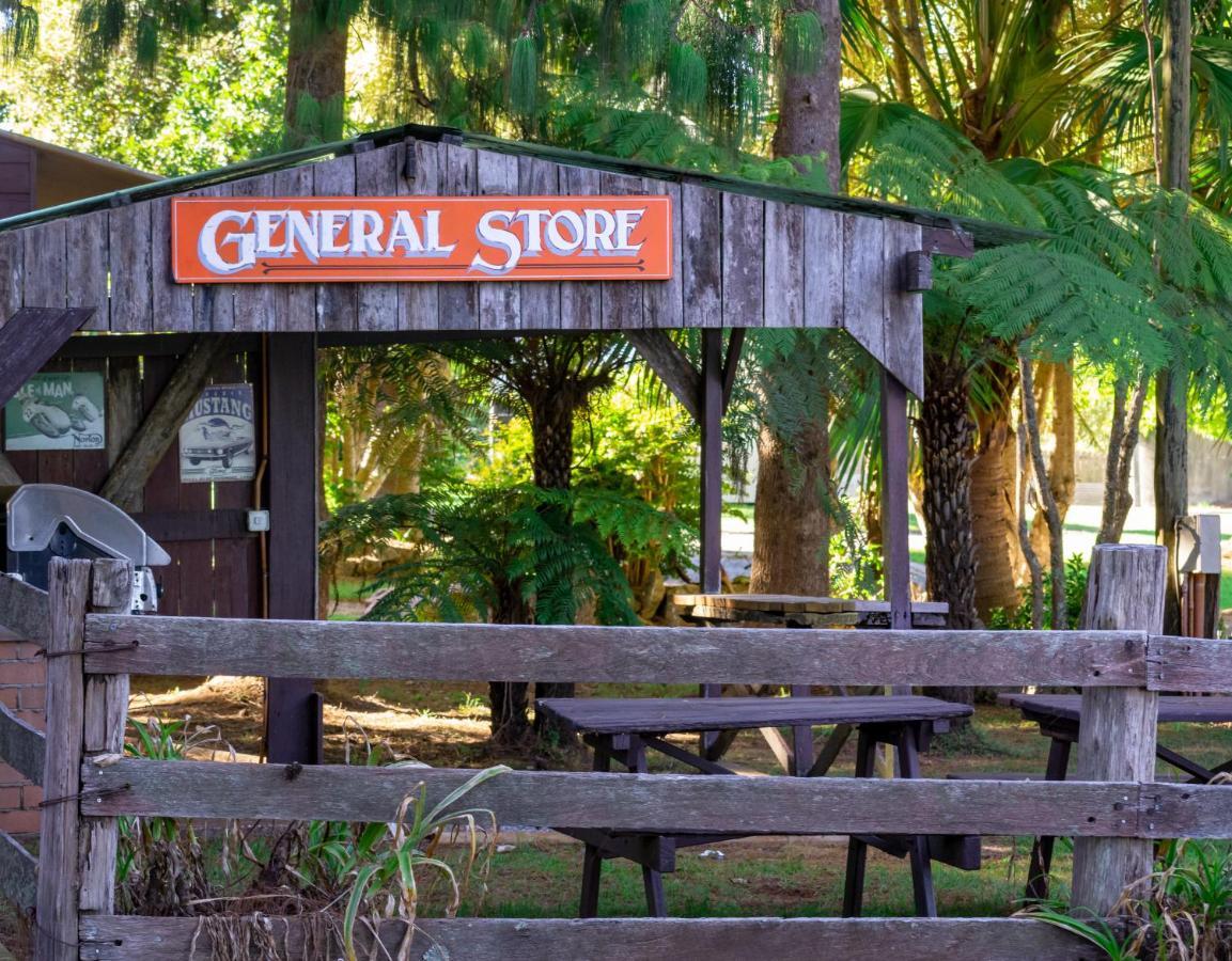 Dorrigo Mountain Holiday Park Buitenkant foto