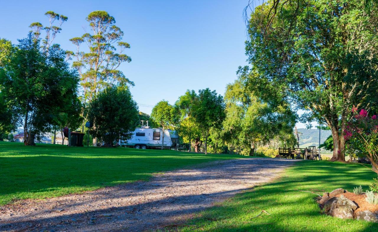 Dorrigo Mountain Holiday Park Buitenkant foto