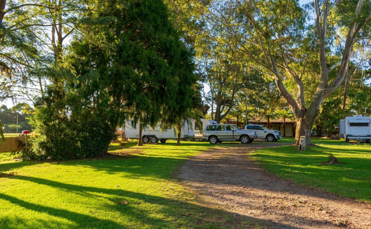 Dorrigo Mountain Holiday Park Buitenkant foto