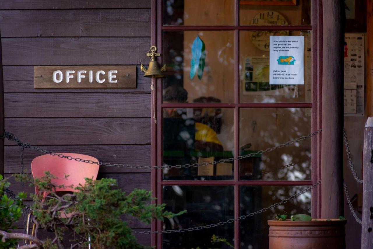 Dorrigo Mountain Holiday Park Buitenkant foto