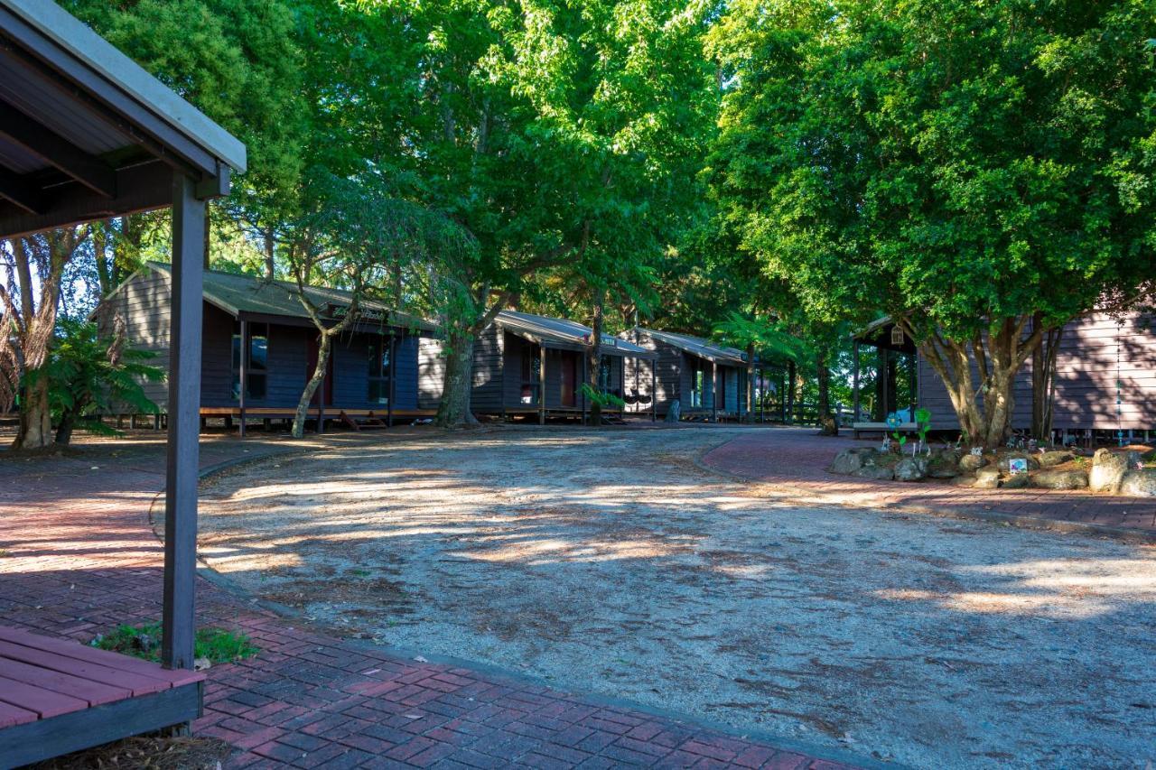 Dorrigo Mountain Holiday Park Buitenkant foto