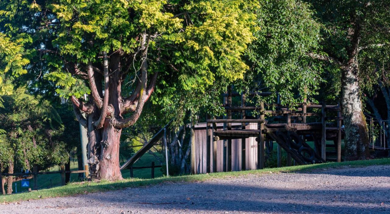 Dorrigo Mountain Holiday Park Buitenkant foto